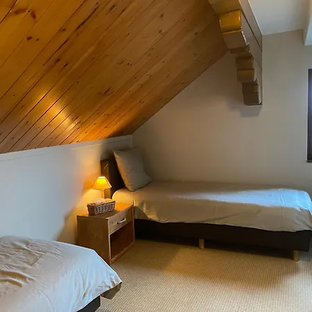 Le Suisse Dion Holiday home