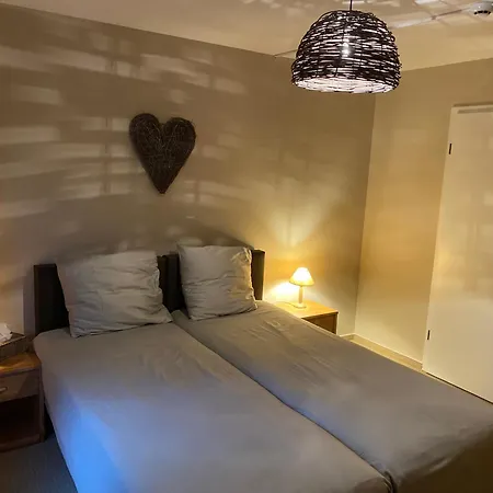 Le Suisse Dion * Beauraing